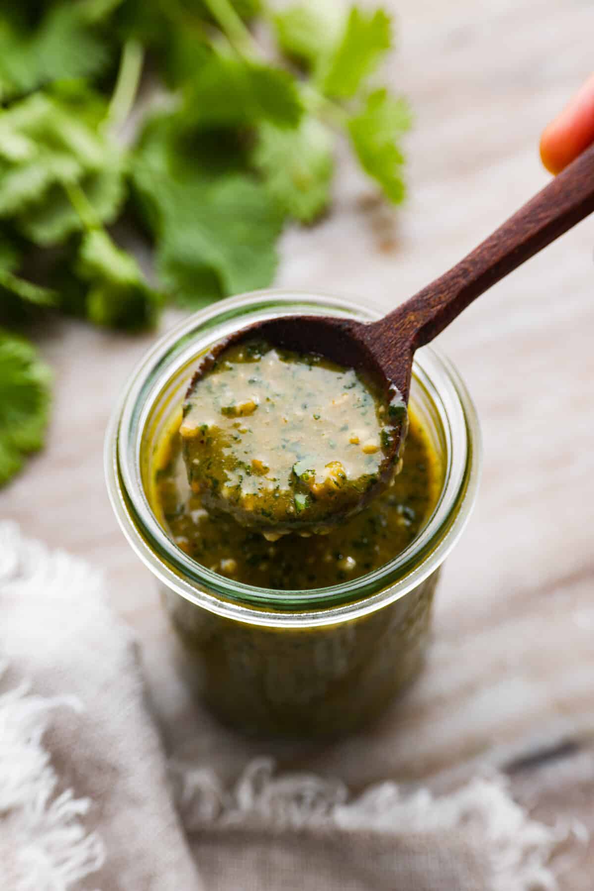 Tamarind Cashew Dipping Sauce | The Recipe Critic